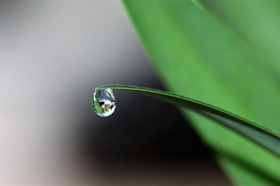 Lắng đọng và thả trôi
