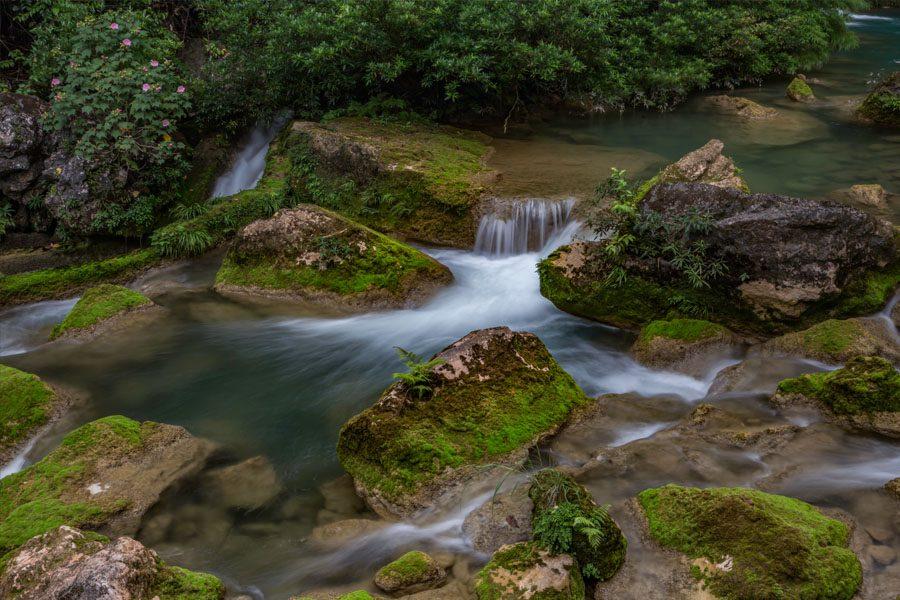 Nuôi dưỡng tâm hồn