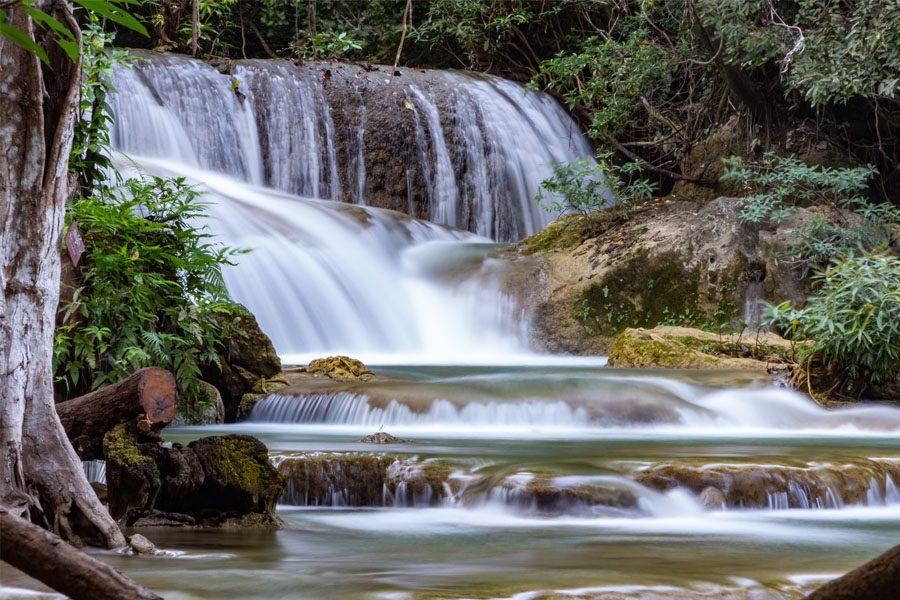 Tự sự của dòng suối
